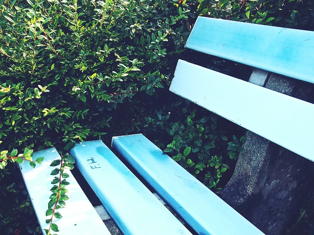 世体：特狮已进入康复的最后阶段，预计下周能回归球队大名单